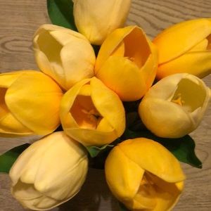 Meet your Posher, Iris